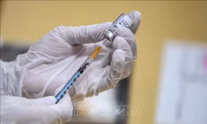 Nhật Bản cân nhắc cho phép tiêm kết hợp các vaccine