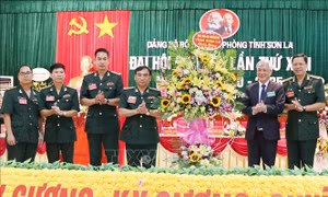 Sơn La phấn đấu giữ vững an ninh trật tự 17 xã biên giới