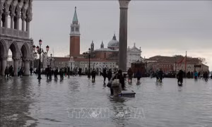Venice trở lại cuộc sống thường nhật sau trận lụt lịch sử 