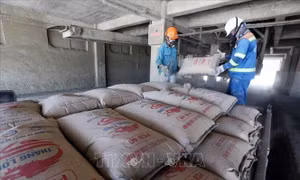 Không tăng giá sản phẩm, doanh nghiệp xi măng khó duy trì hoạt động