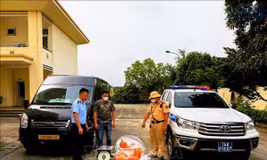 Liên tiếp thu giữ hàng chục tấn thực phẩm không rõ nguồn gốc