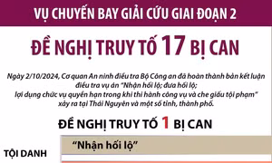Đề nghị truy tố 17 bị can trong vụ chuyến bay giải cứu giai đoạn 2