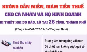 Hướng dẫn miễn, giảm tiền thuế cho cá nhân và hộ kinh doanh bị thiệt hại do bão, lũ 