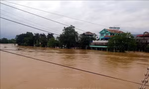 Ba tỉnh, thành phố triển khai hộ đê, đảm bảo an toàn hệ thống đê điều