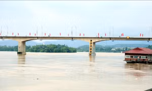 Lũ trên sông Lô, sông Cầu, sông Thương tiếp tục lên