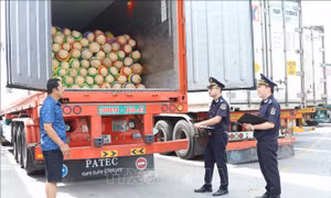 Dòng nông sản tươi thông suốt qua cửa khẩu Lạng Sơn
