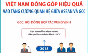 Việt Nam đóng góp hiệu quả vào tăng cường quan hệ giữa ASEAN và GCC