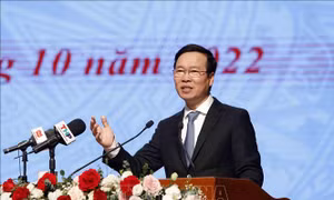 Nâng cao chất lượng tham mưu, tổng hợp của Văn phòng Tỉnh ủy, Thành ủy