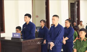Tuyên án tử hình 2 đối tượng vận chuyển ma túy qua đường chuyển phát nhanh