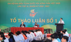 Đại hội IX Hội Nông dân Việt Nam: Các đại biểu thảo luận tại tổ