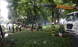 Hà Nội chủ động phòng ngừa các sự cố về môi trường do ảnh hưởng bão số 3