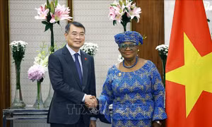 WTO tiếp tục đồng hành, hỗ trợ Việt Nam trong tiến trình hội nhập kinh tế quốc tế