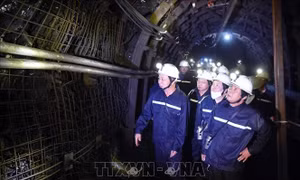 Phó Thủ tướng Lê Văn Thành: Nghiên cứu các giải pháp để cấp đủ than cho sản xuất điện