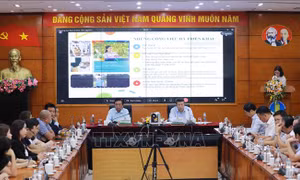 Tuân thủ nghiêm ngặt quy định để xuất khẩu sầu riêng bền vững sang Trung Quốc