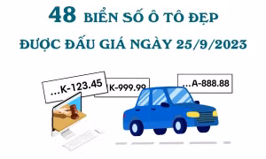 48 biển số ô tô đẹp được đấu giá ngày 25/9/2023