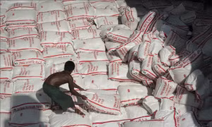 Thái Lan: Gạo dự trữ 10 năm an toàn khi tiêu dùng