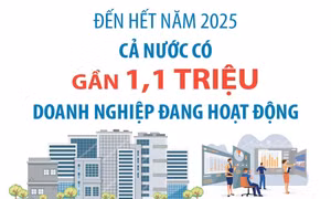 Tổng số doanh nghiệp đang hoạt động trên cả nước đạt gần 1,1 triệu 