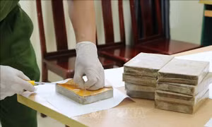 Bắt đối tượng vận chuyển số lượng lớn heroin và ma túy tổng hợp 