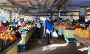 Cuba tăng cường hợp tác giữa các doanh nghiệp nhà nước và khu vực tư nhân