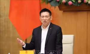 Tăng cường đầu tư nhân lực, công nghệ cho công tác phòng, chống rửa tiền