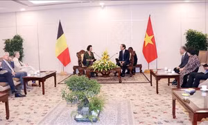 Bí thư Thành ủy TP Hồ Chí Minh tiếp Chủ tịch Thượng viện Vương quốc Bỉ