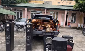 Triệt xóa ổ nhóm chuyên dùng xe bán tải đi trộm cắp tại các công sở