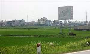 Thông tin việc thu hồi đất thực hiện dự án tại Hưng Hà, Thái Bình