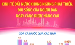 Kinh tế đất nước không ngừng phát triển, đời sống của người dân ngày càng được nâng cao