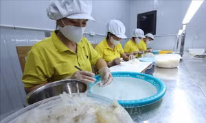 Ban hành 8 nghị quyết cắt giảm, phân cấp, đơn giản hóa thủ tục hành chính, điều kiện kinh doanh