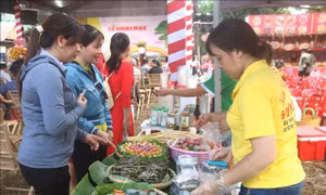 Khai mạc Liên hoan ẩm thực Nam Bộ