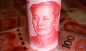 Các ngân hàng trung ương 'gồng mình' bảo vệ đồng nội tệ