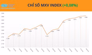 Lực mua tiếp tục áp đảo, chỉ số MXV-Index sát vùng 2.900 điểm