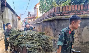 Chung tay dựng lại bình yên sau lũ dữ