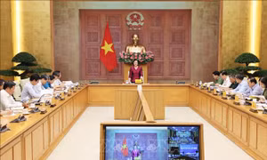 Kế hoạch hoạt động của Ban Chỉ đạo triển khai các hoạt động kỷ niệm 80 năm Ngày Thương binh - Liệt sĩ