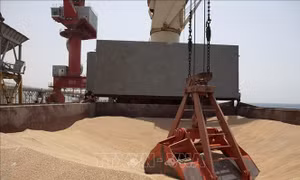 LHQ đề xuất giải pháp khôi phục Sáng kiến Ngũ cốc Biển Đen