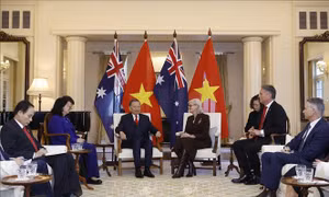 Tổng Bí thư, Chủ tịch nước Tô Lâm hội kiến Toàn quyền Australia
