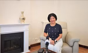 Thương vụ Việt Nam tại Italy: Nâng cao năng lực xác minh đối tác và soạn thảo hợp đồng để hạn chế rủi ro