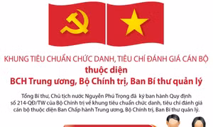 Khung tiêu chuẩn chức danh, tiêu chí đánh giá cán bộ thuộc diện BCH Trung ương, Bộ Chính trị, Ban Bí thư quản lý