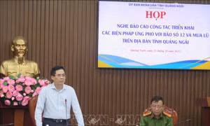 Chủ tịch UBND tỉnh Quảng Ngãi: Sẵn sàng ứng phó ba loại hình thiên tai