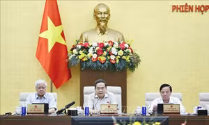 UBTV Quốc hội cho ý kiến về luật sửa đổi 10 luật có liên quan lĩnh vực nông nghiệp và môi trường