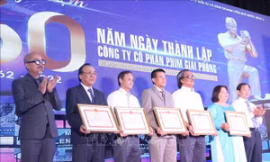 Đưa hình ảnh đất và người phương Nam đến bạn bè quốc tế