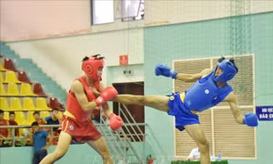 Trên 260 vận động viên tham dự Giải vô địch Wushu toàn quốc năm 2019