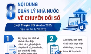 8 nội dung quản lý nhà nước về chuyển đổi số từ 1/7/2026
