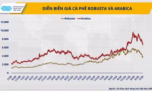 Ba năm hỗn loạn giá cà-phê
