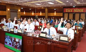 Tây Ninh: Trợ giúp khẩn cấp một lần trong năm cho đối tượng khó khăn