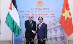 Phó Thủ tướng Bùi Thanh Sơn tiếp Đặc phái viên của Tổng thống Palestine