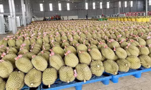 Sự kiện kinh tế Việt Nam nổi bật tuần qua
