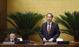 Bộ Xây dựng có trách nhiệm thiếu đôn đốc, kiểm tra tình trạng tùy tiện điều chỉnh quy hoạch
