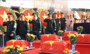 Quy chế, hoạt động của Ban Chỉ đạo quốc gia về tìm kiếm, quy tập và xác định danh tính hài cốt liệt sĩ