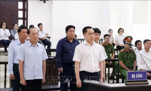Vũ 'nhôm' lĩnh án 15 năm tù 